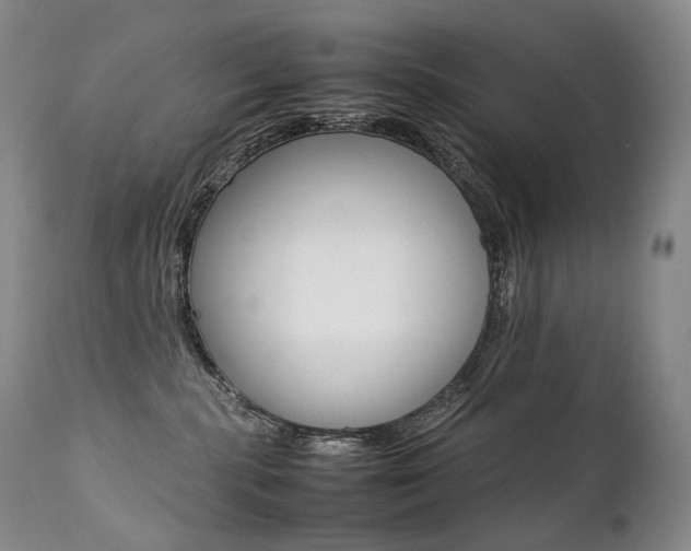 X0000111390283200907101008