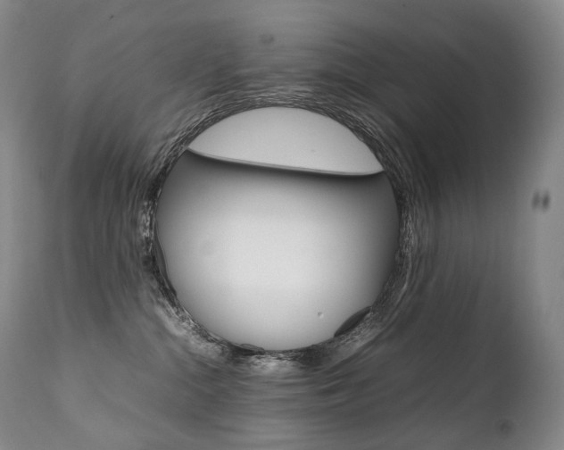 X0000111390284200907101008