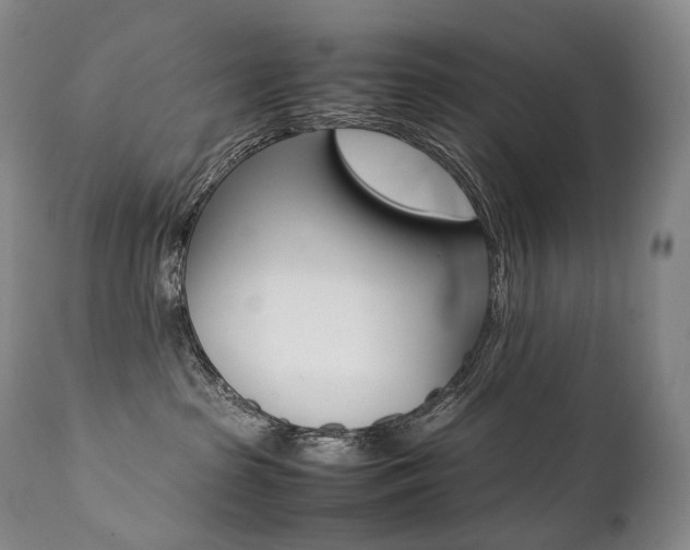 X0000111390285200907101008