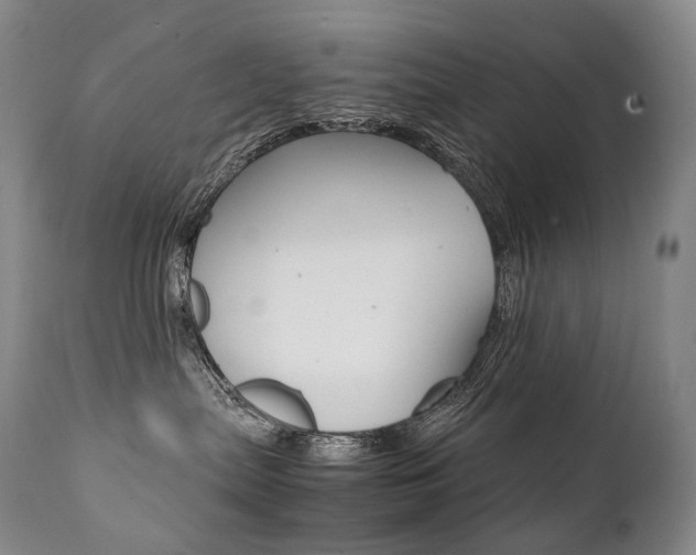 X0000111390287200907101009