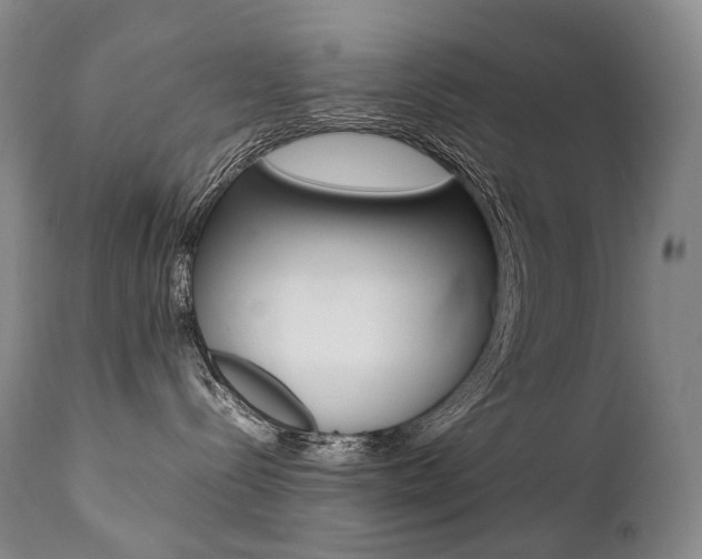 X0000111390288200907101009