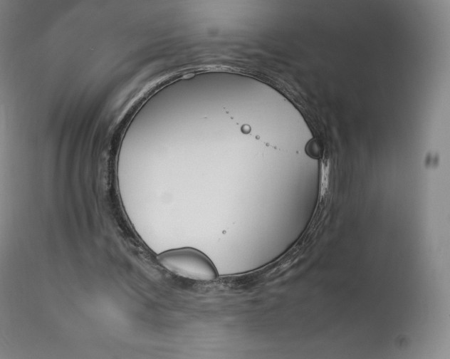 X0000111390291200907101008