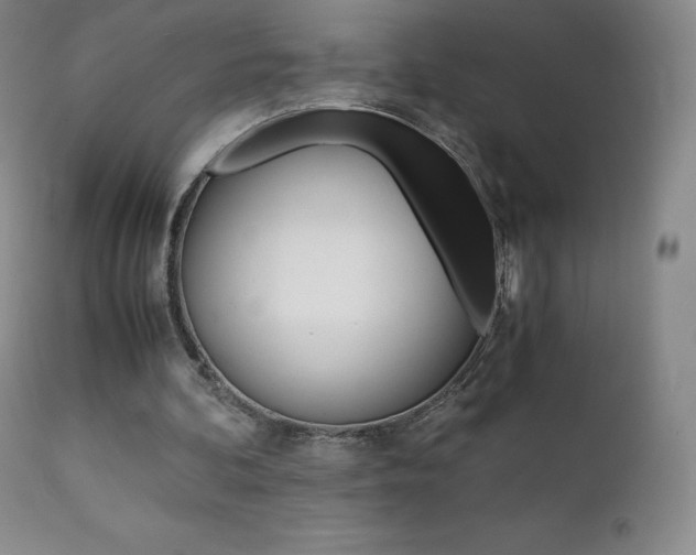 X0000111390292200907101008