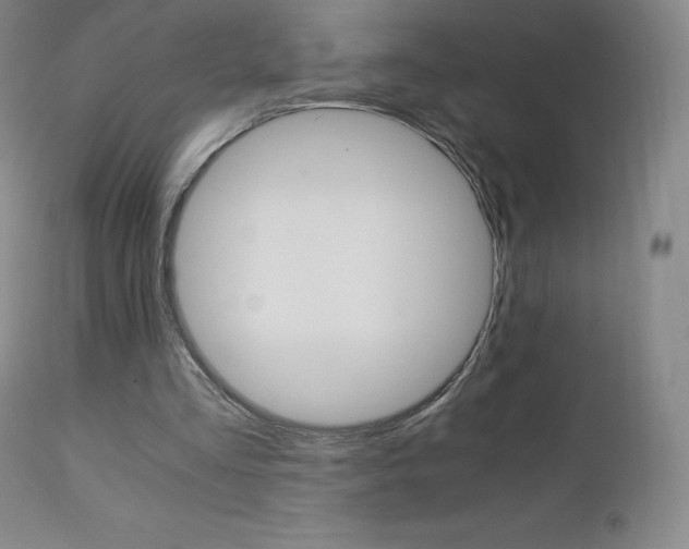 X0000111390293200907101008