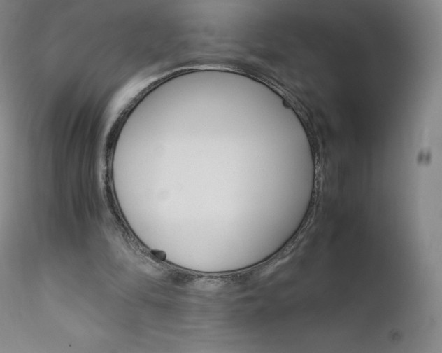 X0000111390294200907101008