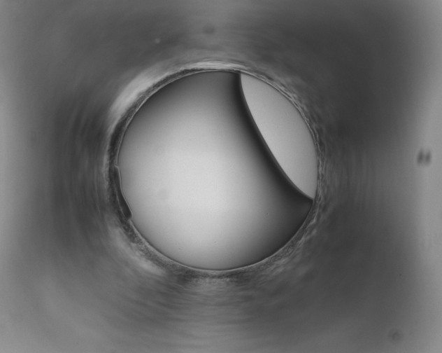 X0000111390296200907101008