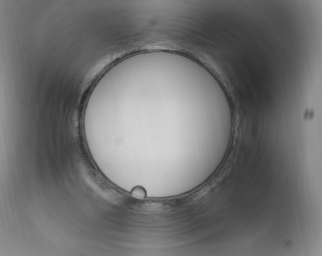 X0000111390298200907101008