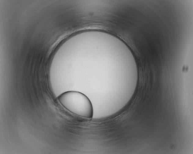 X0000111390300200907101008