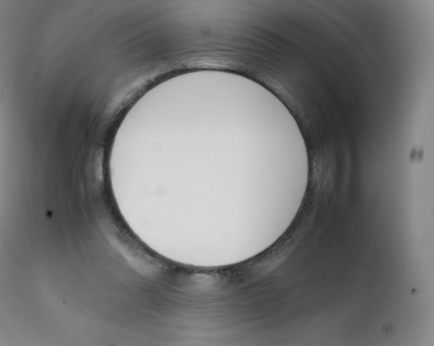 X0000111390302200907101008
