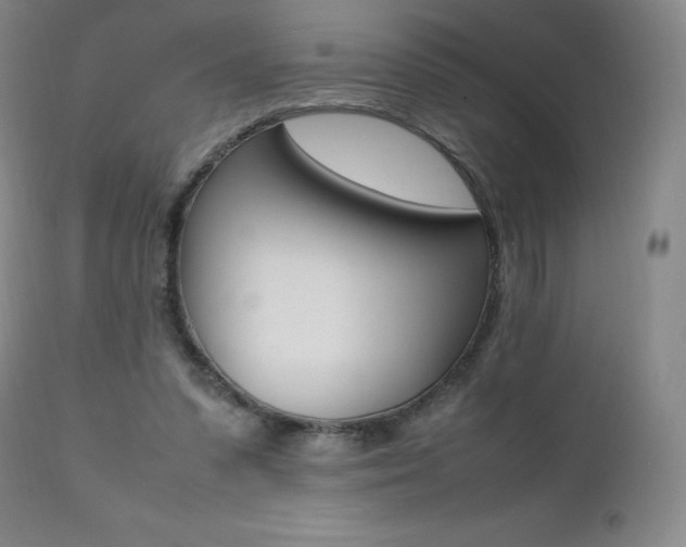 X0000111390303200907101008