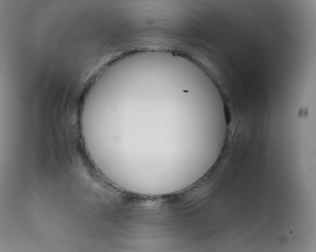 X0000111390306200907101007