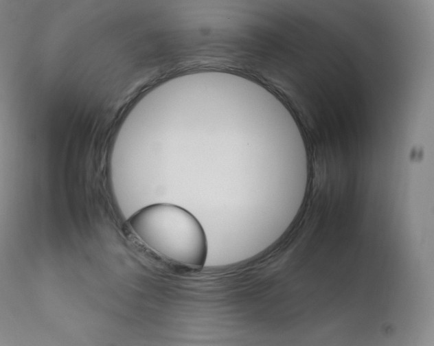 X0000111390308200907101007