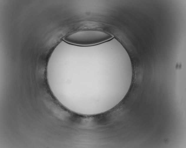 X0000111390309200907101007
