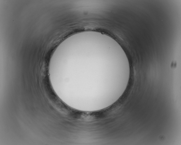 X0000111390311200907101007