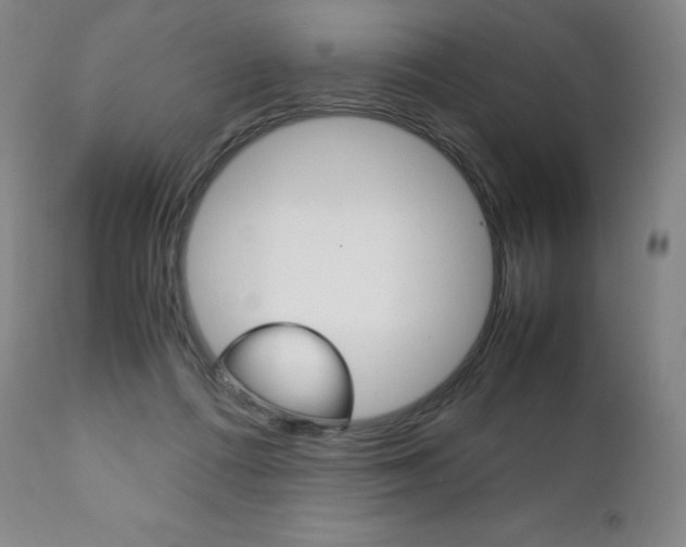 X0000111390312200907101007