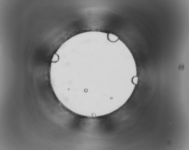 X0000111390313200907101007