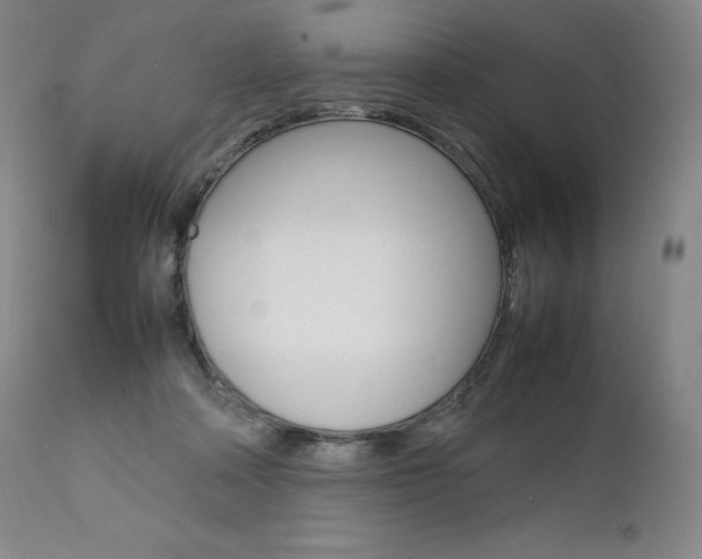 X0000111390314200907101007