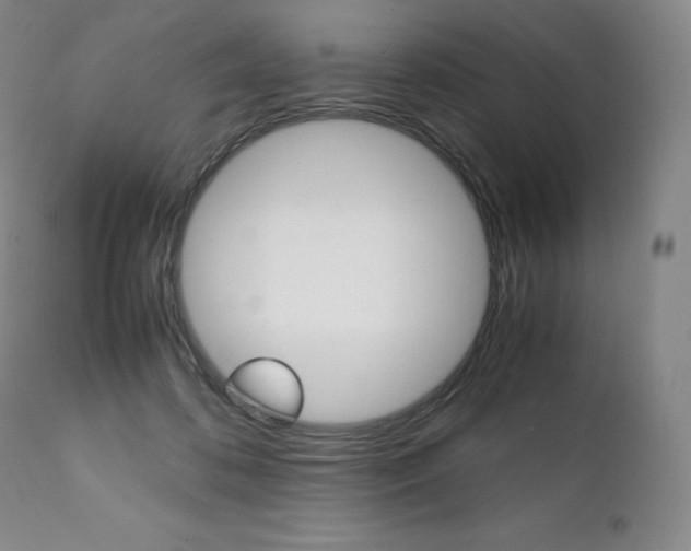 X0000111390316200907101007