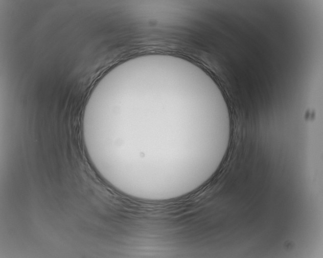 X0000111390317200907101007