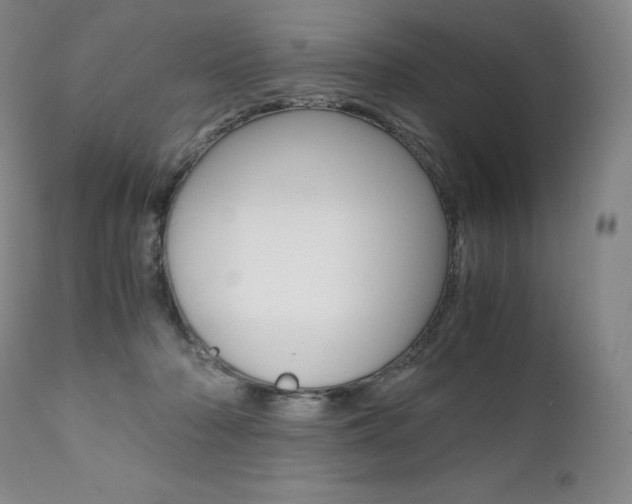 X0000111390318200907101007
