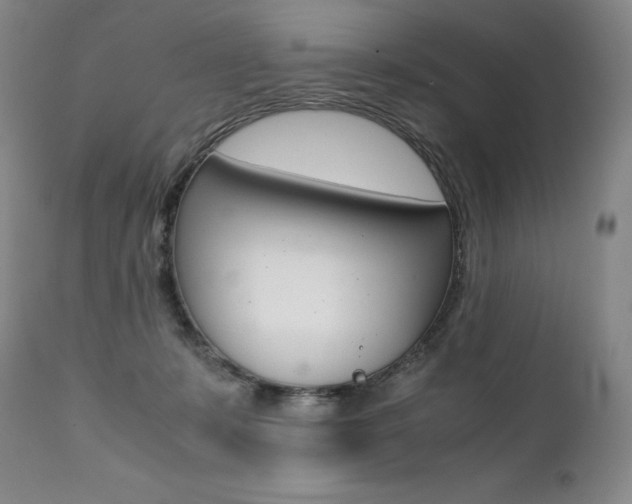 X0000111390319200907101007