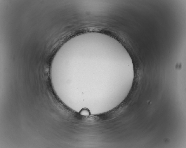 X0000111390321200907101007