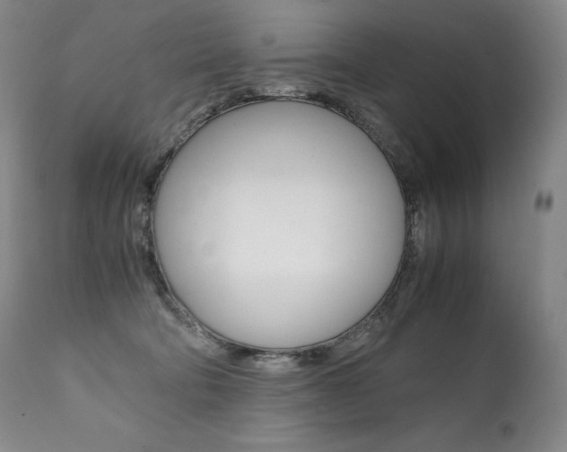X0000111390322200907101007