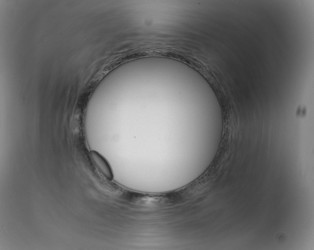 X0000111390323200907101007