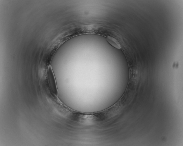 X0000111390324200907101007
