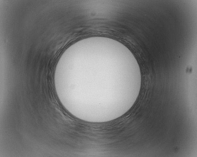 X0000111390327200907101007