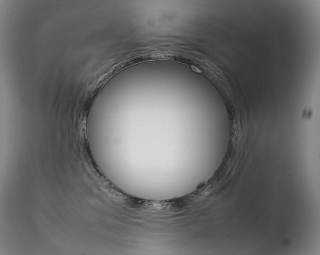 X0000111390329200907101007