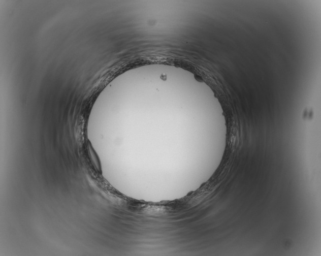 X0000111390332200907101007