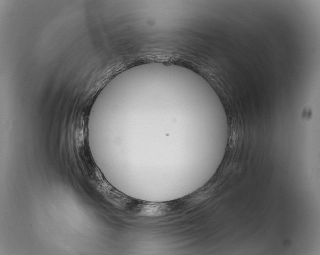 X0000111390334200907101007