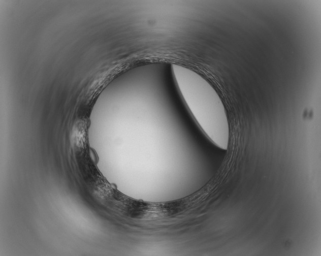 X0000111390335200907101007