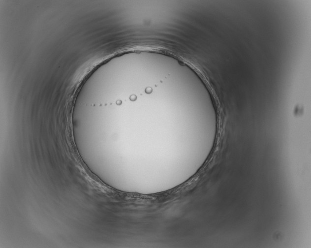 X0000111390337200907101006