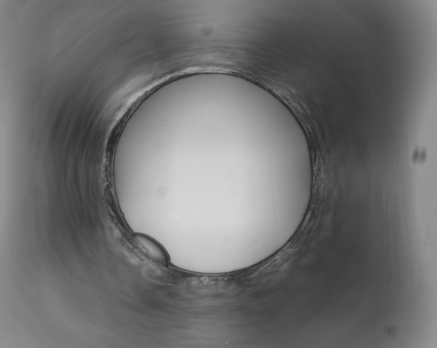 X0000111390338200907101006