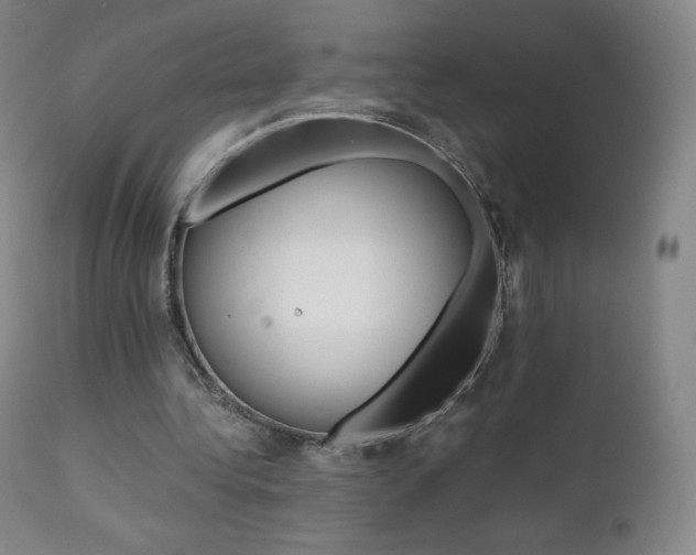 X0000111390340200907101006