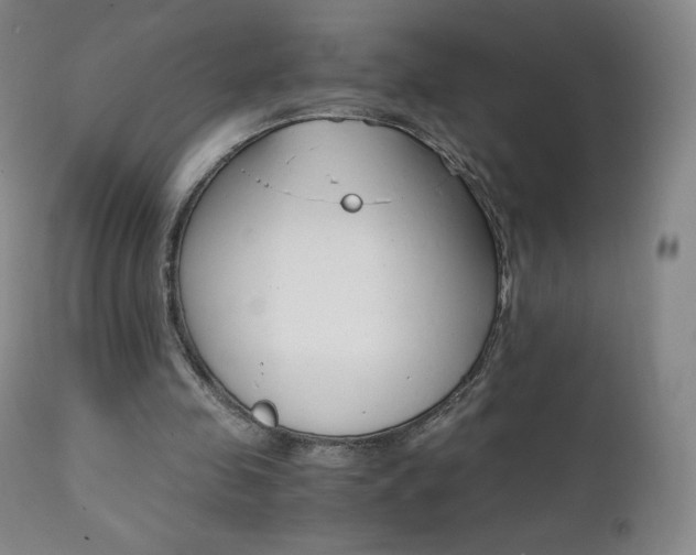 X0000111390341200907101006