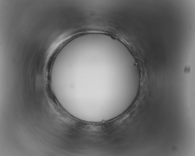 X0000111390343200907101006