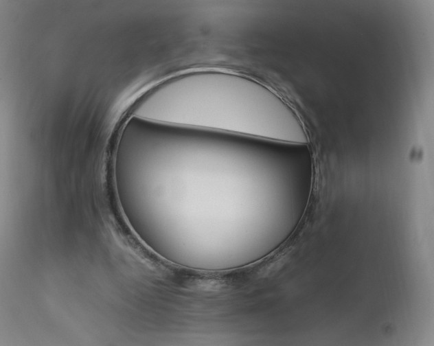 X0000111390344200907101006