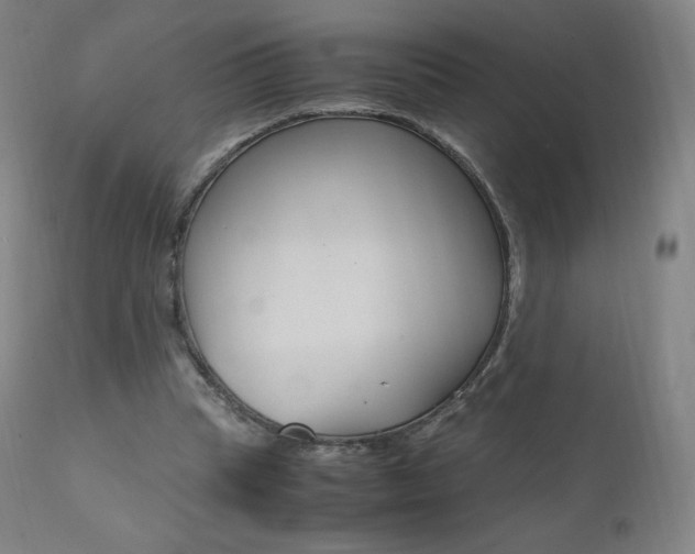 X0000111390345200907101006
