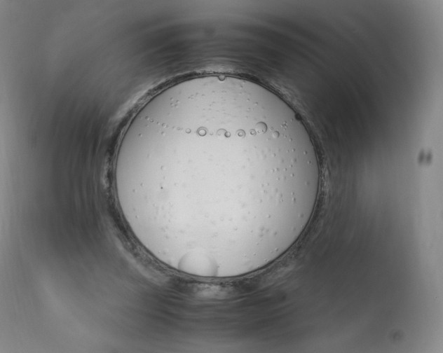 X0000111390347200907101006