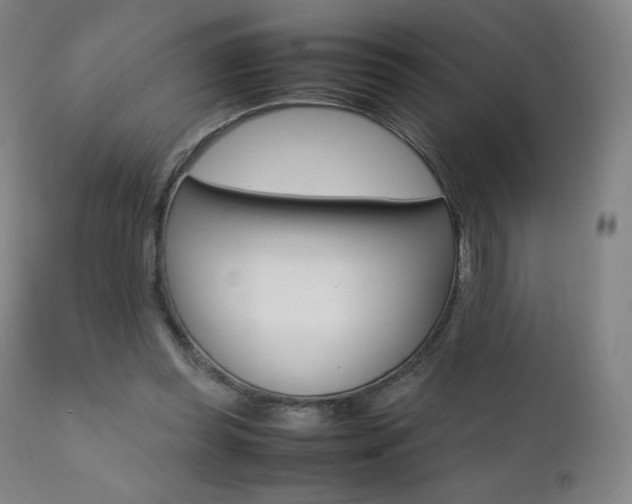 X0000111390349200907101006