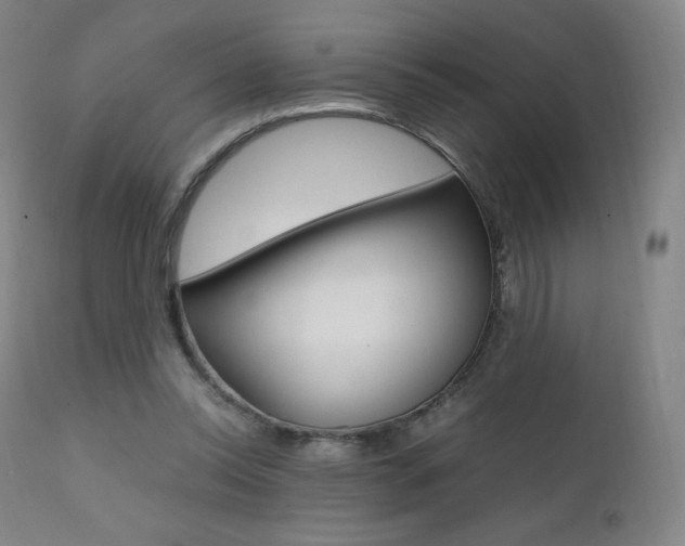 X0000111390350200907101006