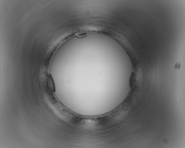 X0000111390352200907101006
