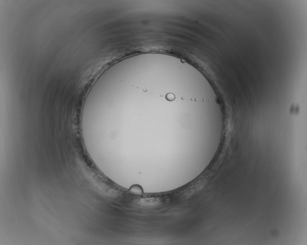 X0000111390353200907101006