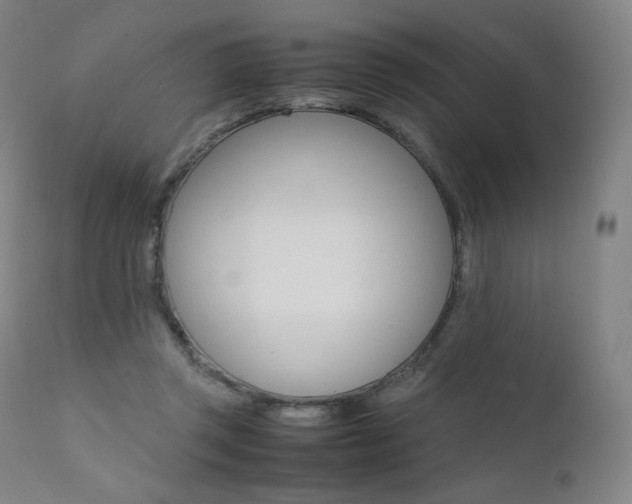X0000111390357200907101006