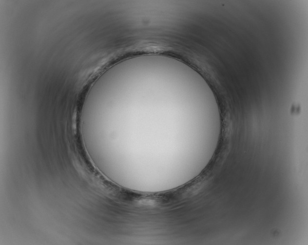 X0000111390358200907101006