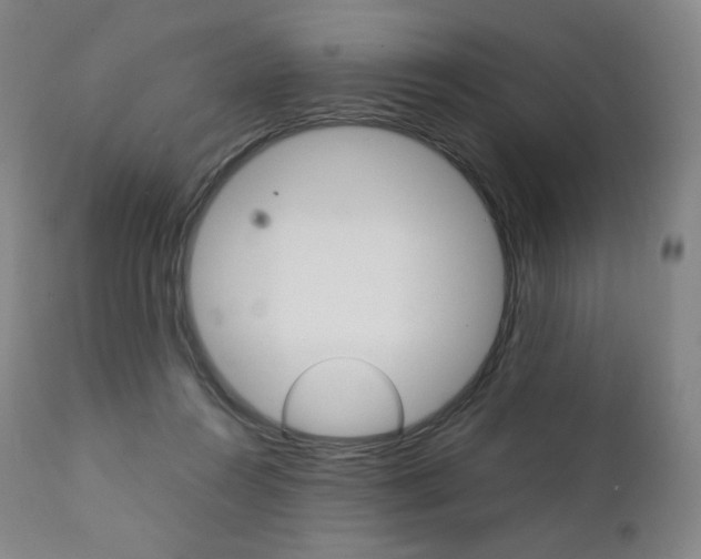 X0000111390360200907101006
