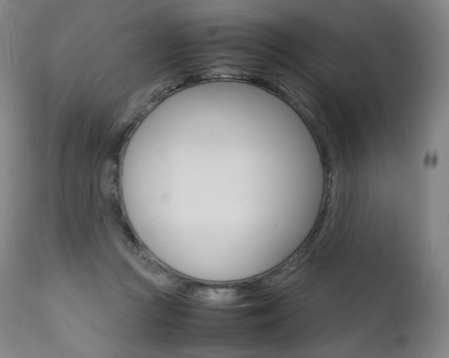 X0000111390361200907101006